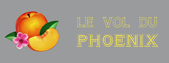 Le vol du Phoenix | Richard Brautigan